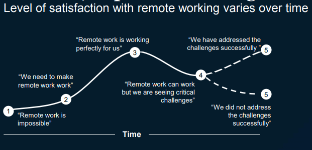 Remote work satisfaction over time Mckinsey Report